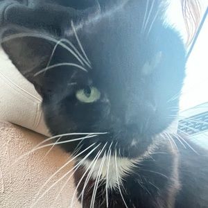Meet your Posher, Sandy